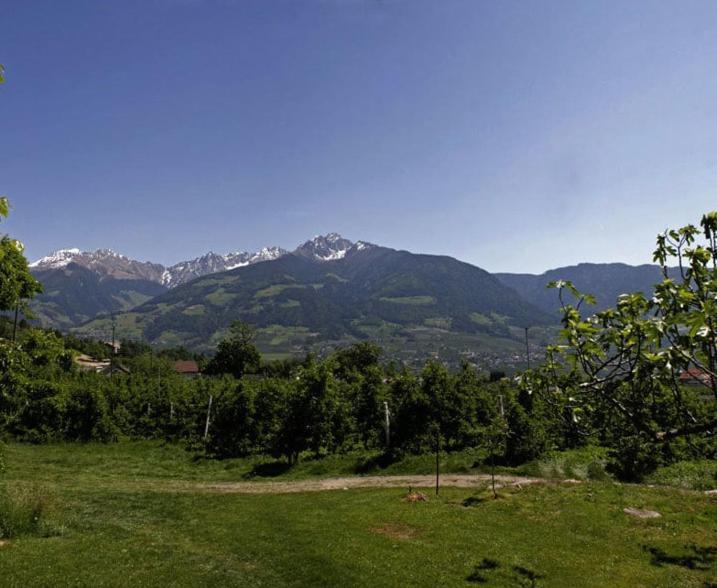 Residence Streitlhof Tirol Exteriér fotografie