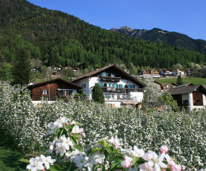 Residence Streitlhof Tirol Exteriér fotografie